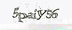認証画像